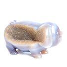 crystal pig