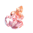 crystal frog