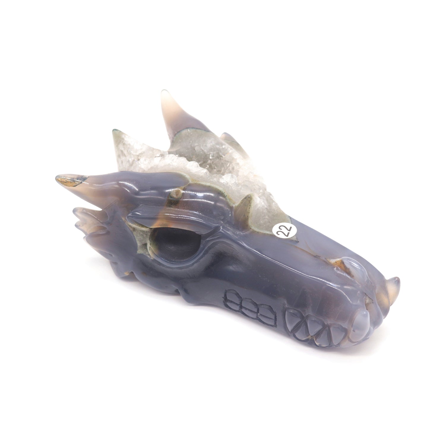 6" Hand Carved Druzy Agate Dragon Head Figurine Crystal Healing Reiki