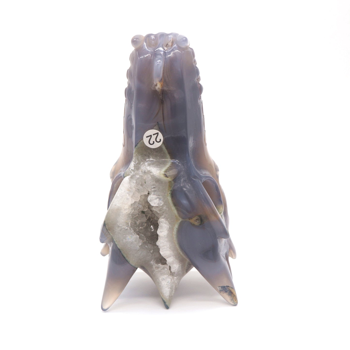 6" Hand Carved Druzy Agate Dragon Head Figurine Crystal Healing Reiki