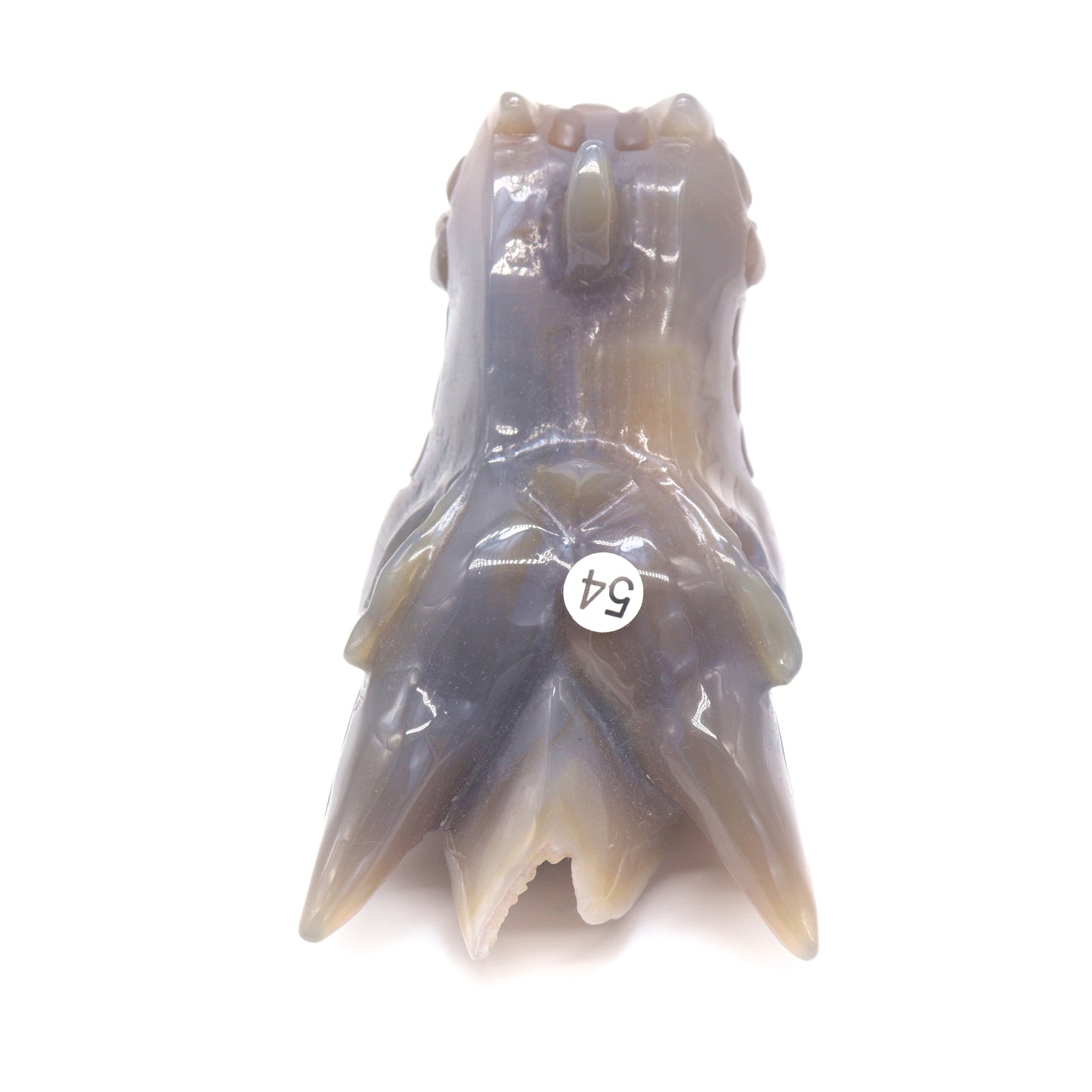 4.5" Hand Carved Druzy Agate Dragon Head Statue Crystal Healing Reiki