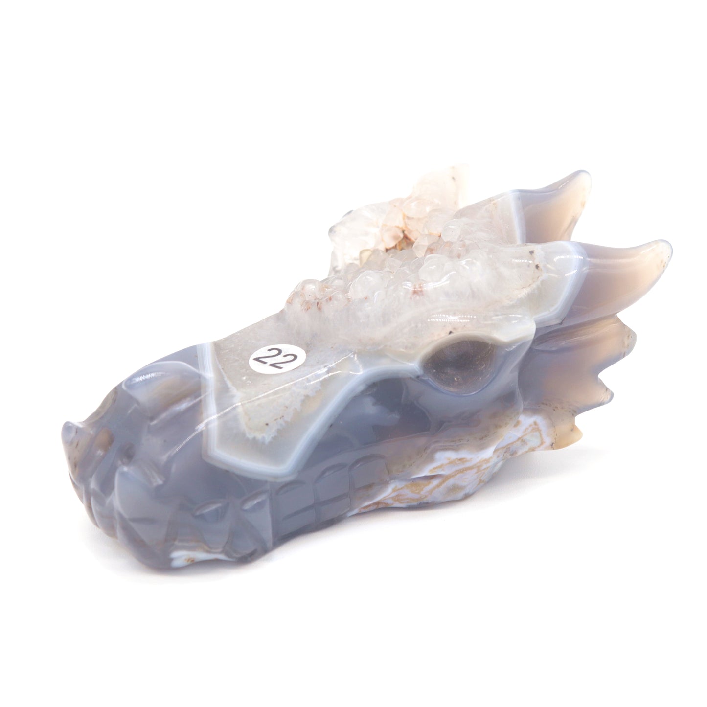 4.5" Hand Carved Druzy Agate Dragon Head Statue Crystal Healing Reiki