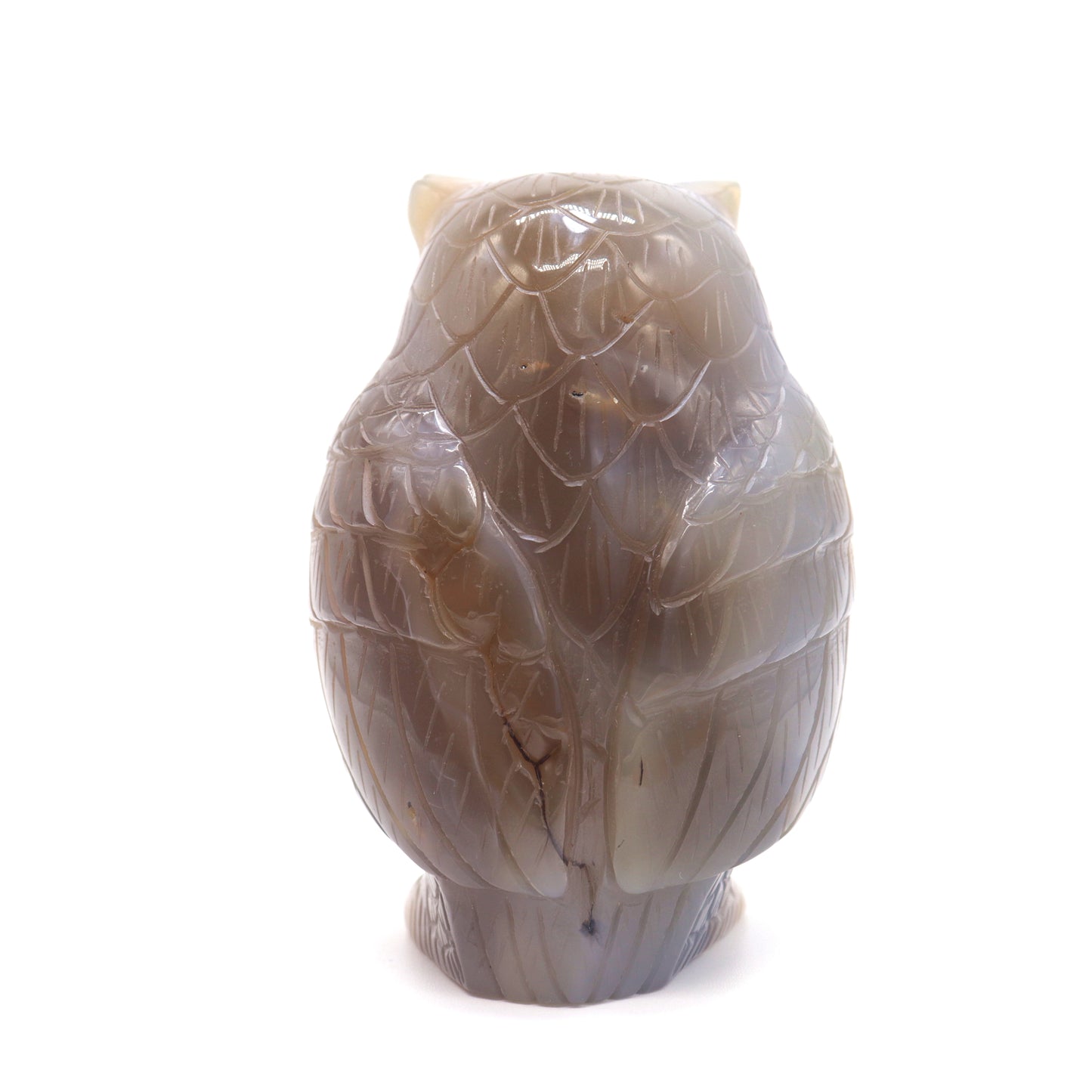 4" HandCarved Druzy agate Owl Crystal Healing Quartz Reiki