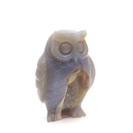 druzy agate owl