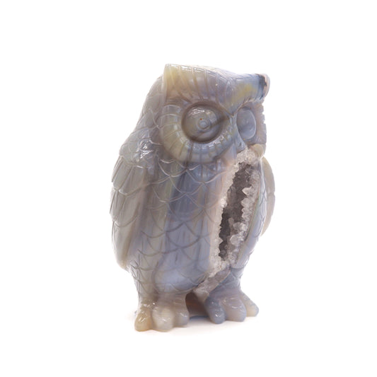 druzy agate owl