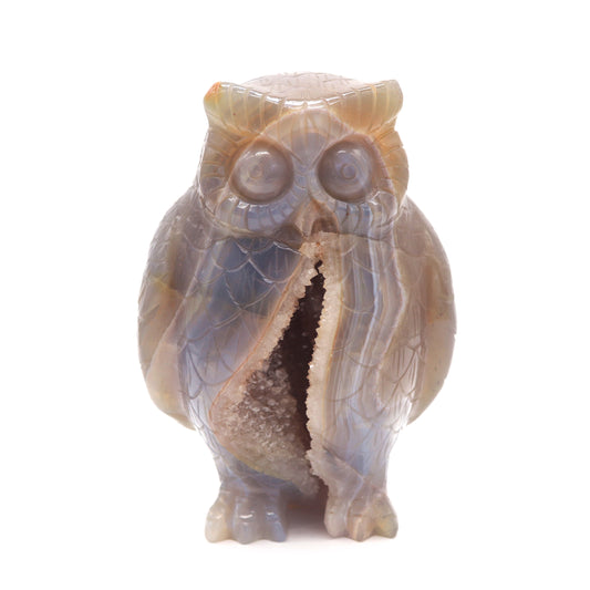 druzy agate owl