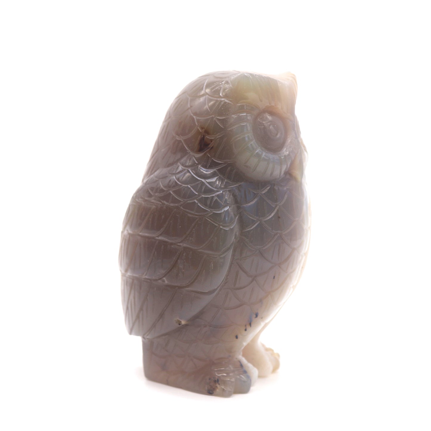 4" HandCarved Druzy agate Owl Crystal Healing Quartz Reiki Decorate Gift