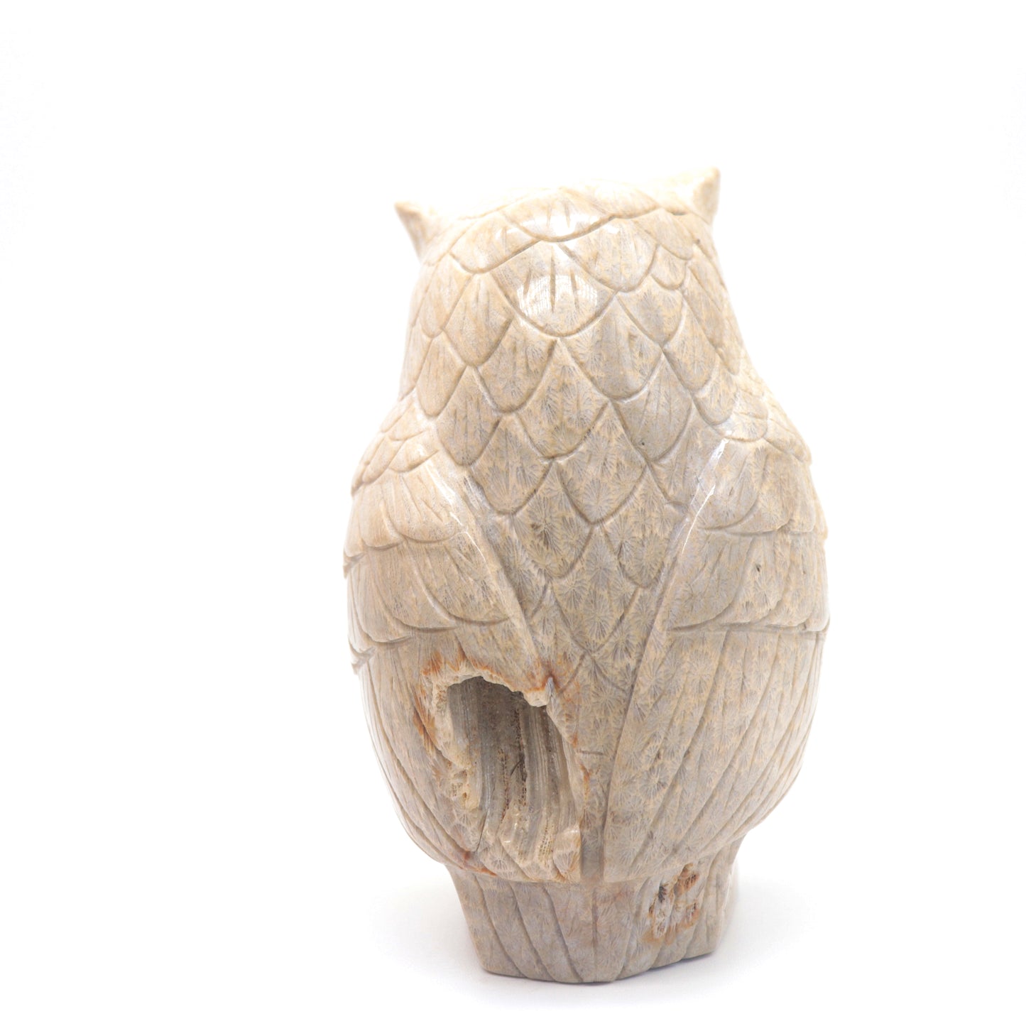 4.5" HandCarved Coral Jade Crystal Owl Healing Quartz Reiki Decorate Gift