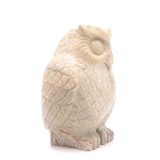 coral jade owl