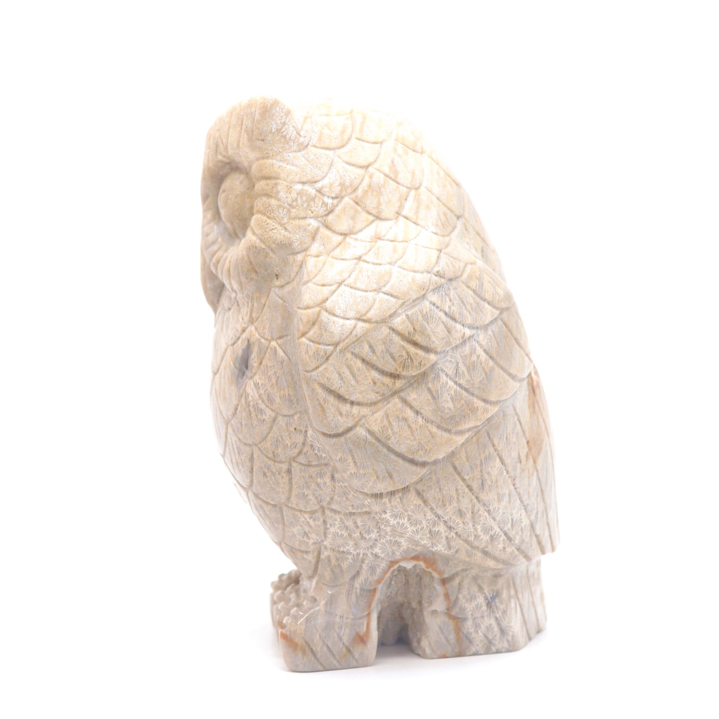4.3" HandCarved Coral Jade Owl Crystal Healing Quartz Reiki Decorate Gift