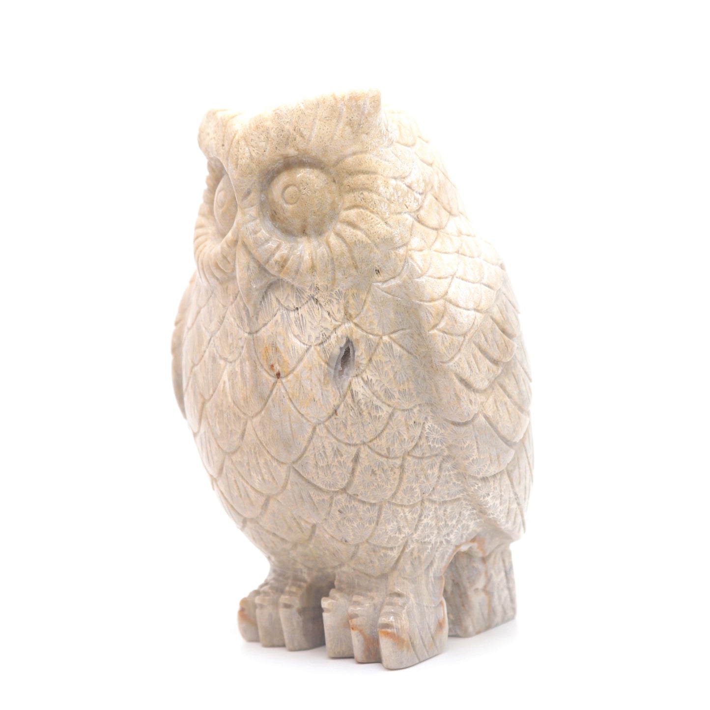 4.3" HandCarved Coral Jade Owl Crystal Healing Quartz Reiki Decorate Gift