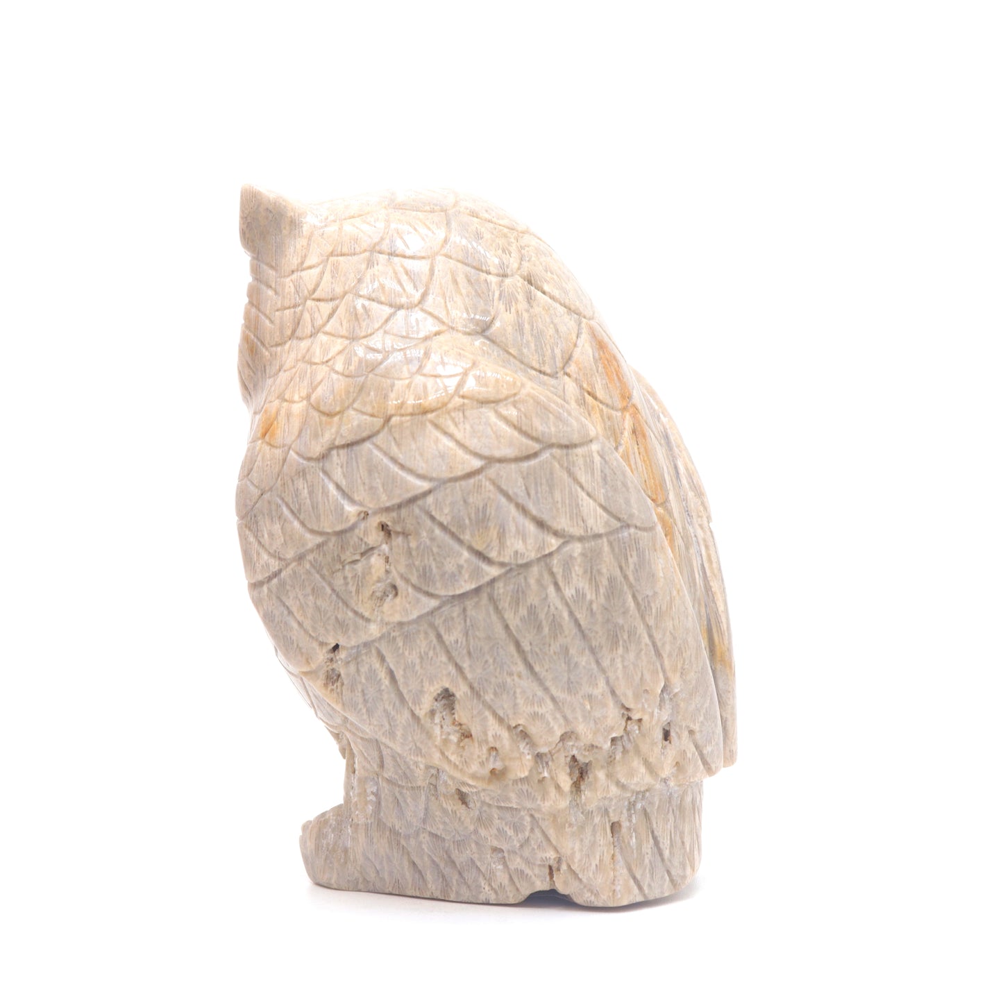 4.1" HandCarved Coral Jade Owl Crystal Healing Quartz Reiki Decorate Gift