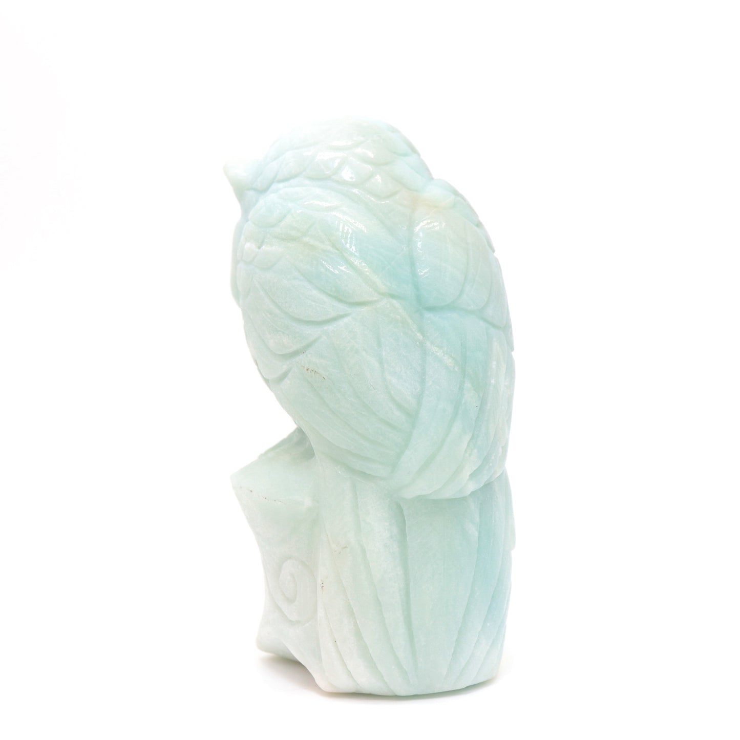 5" HandCarved Amazonite Owl Caribbean Calcite Crystal Healing Quartz Reiki Decorate Gift