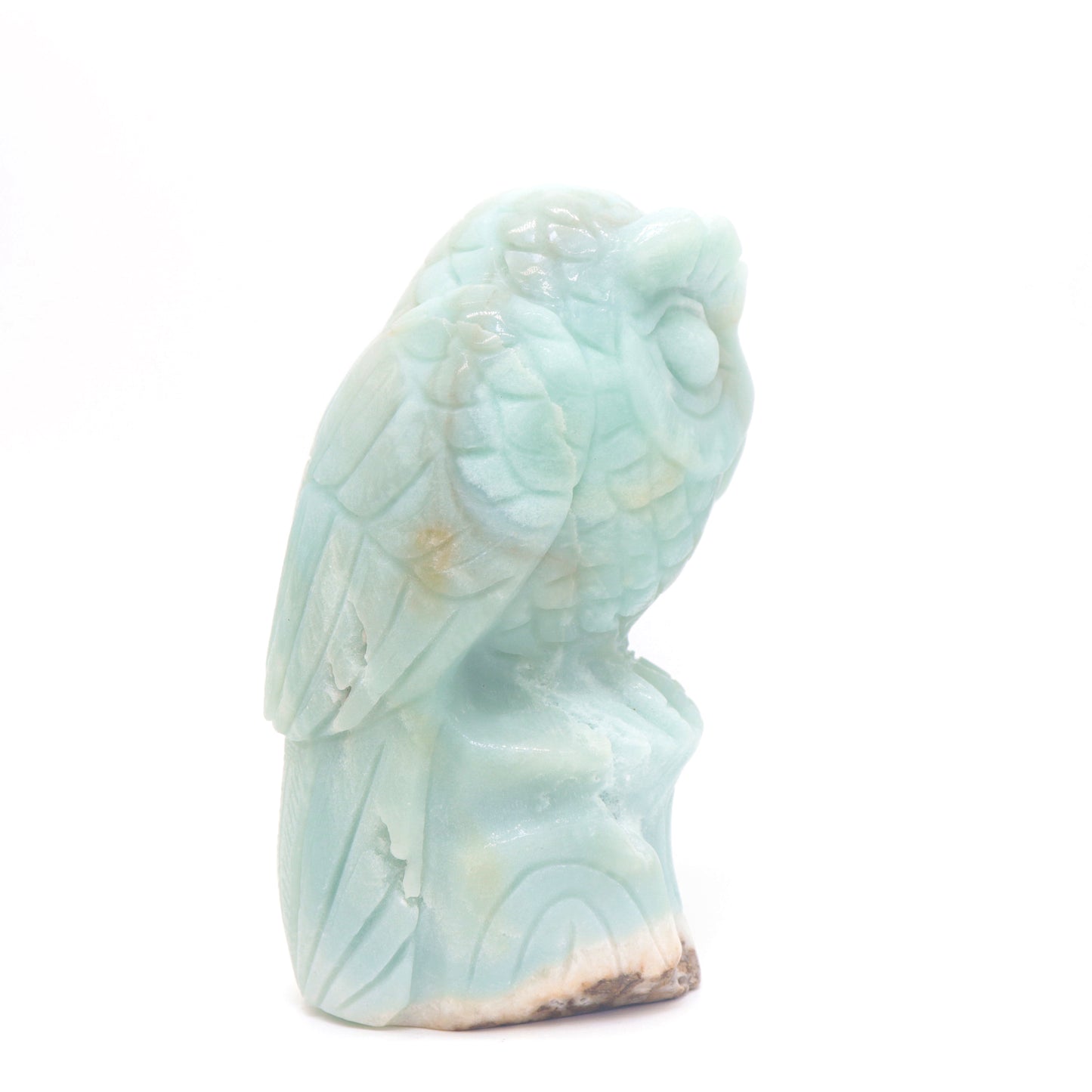 5" HandCarved Amazonite Owl Caribbean Calcite Crystal Healing Quartz Reiki Decorate Gift