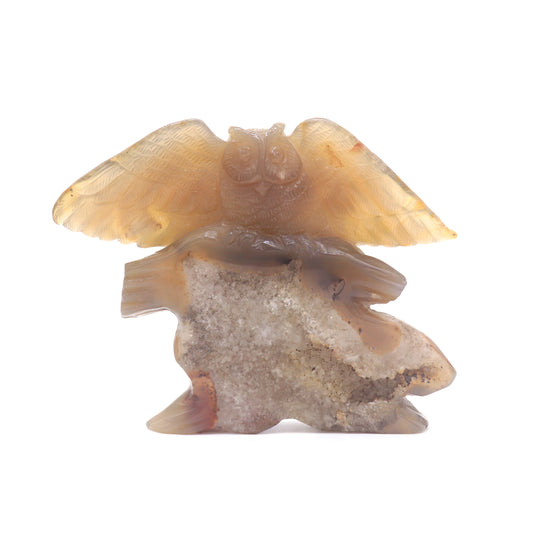 druzy agate owl