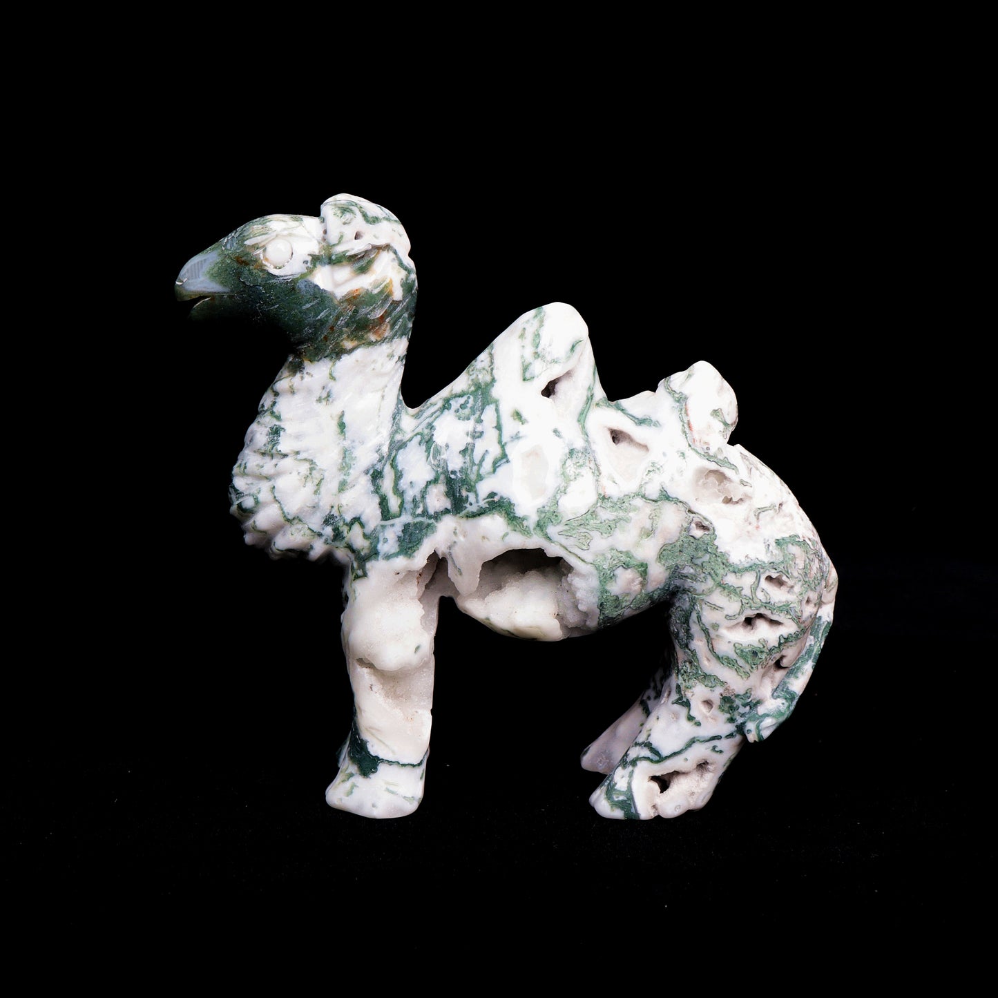 5.5" Moss Agate Carved camel Figurine Realistic Crystal Healing Quartz Decor