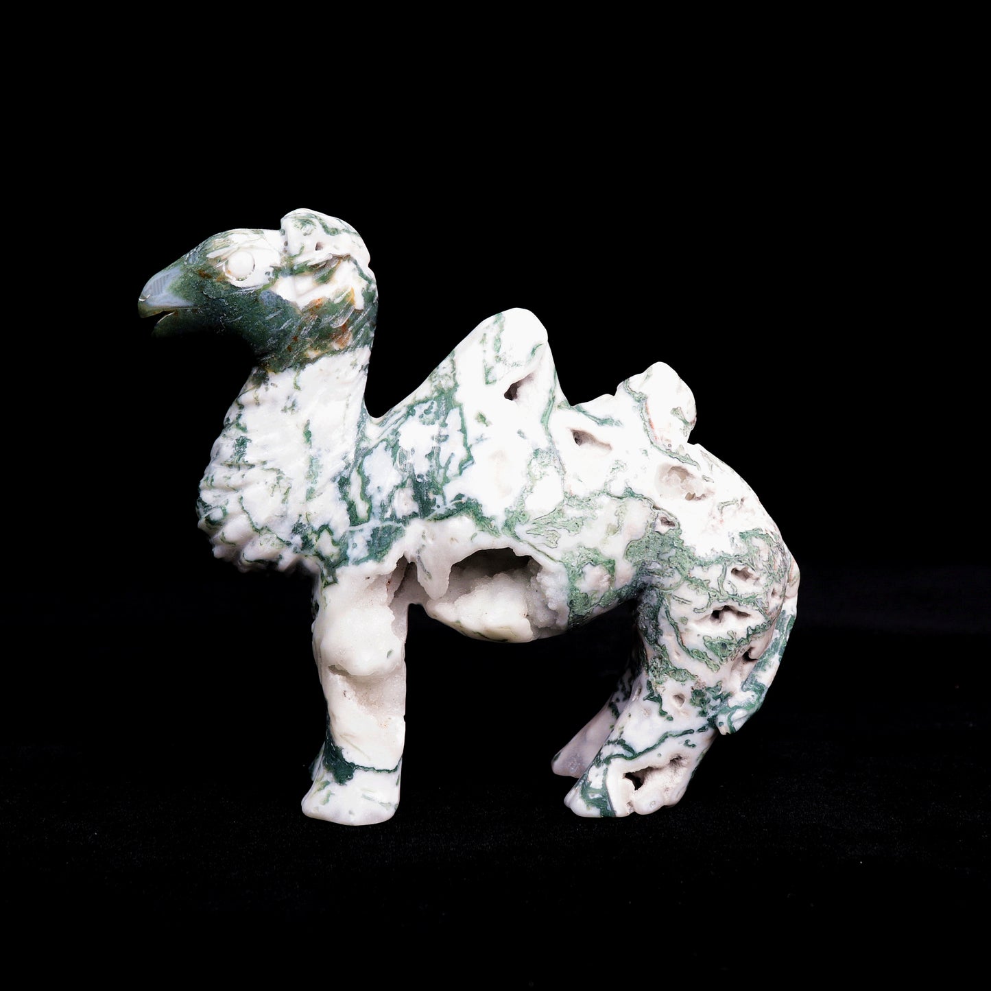 5.5" Moss Agate Carved camel Figurine Realistic Crystal Healing Quartz Decor