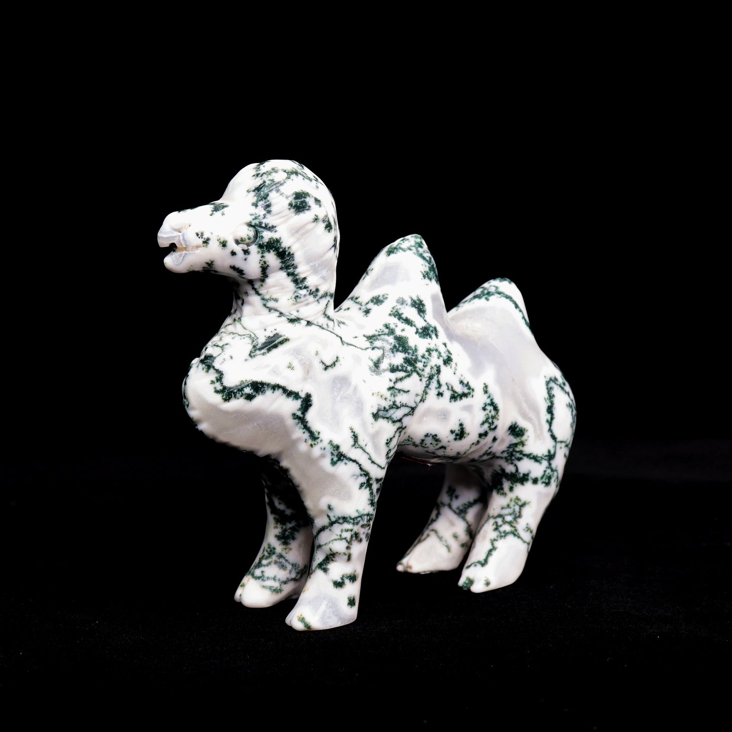 5.5" Moss Agate Carved camel Figurine Realistic Crystal Healing Quartz Decor