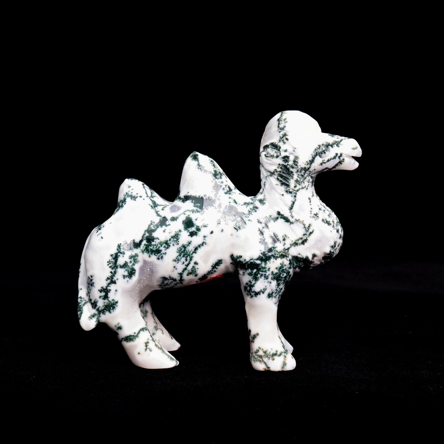5.5" Moss Agate Carved camel Figurine Realistic Crystal Healing Quartz Decor
