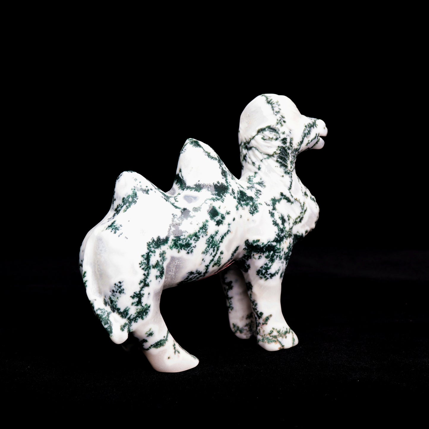 5.5" Moss Agate Carved camel Figurine Realistic Crystal Healing Quartz Decor