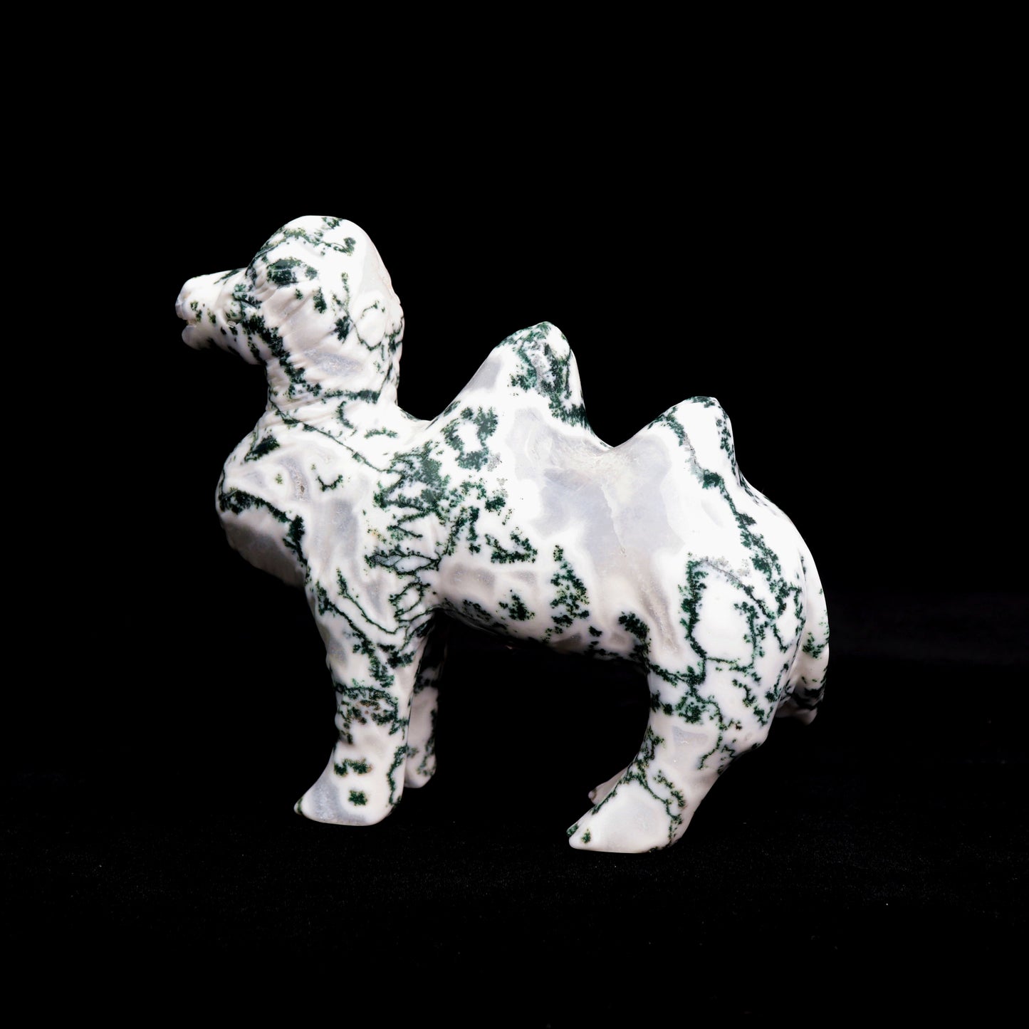 5.5" Moss Agate Carved camel Figurine Realistic Crystal Healing Quartz Decor