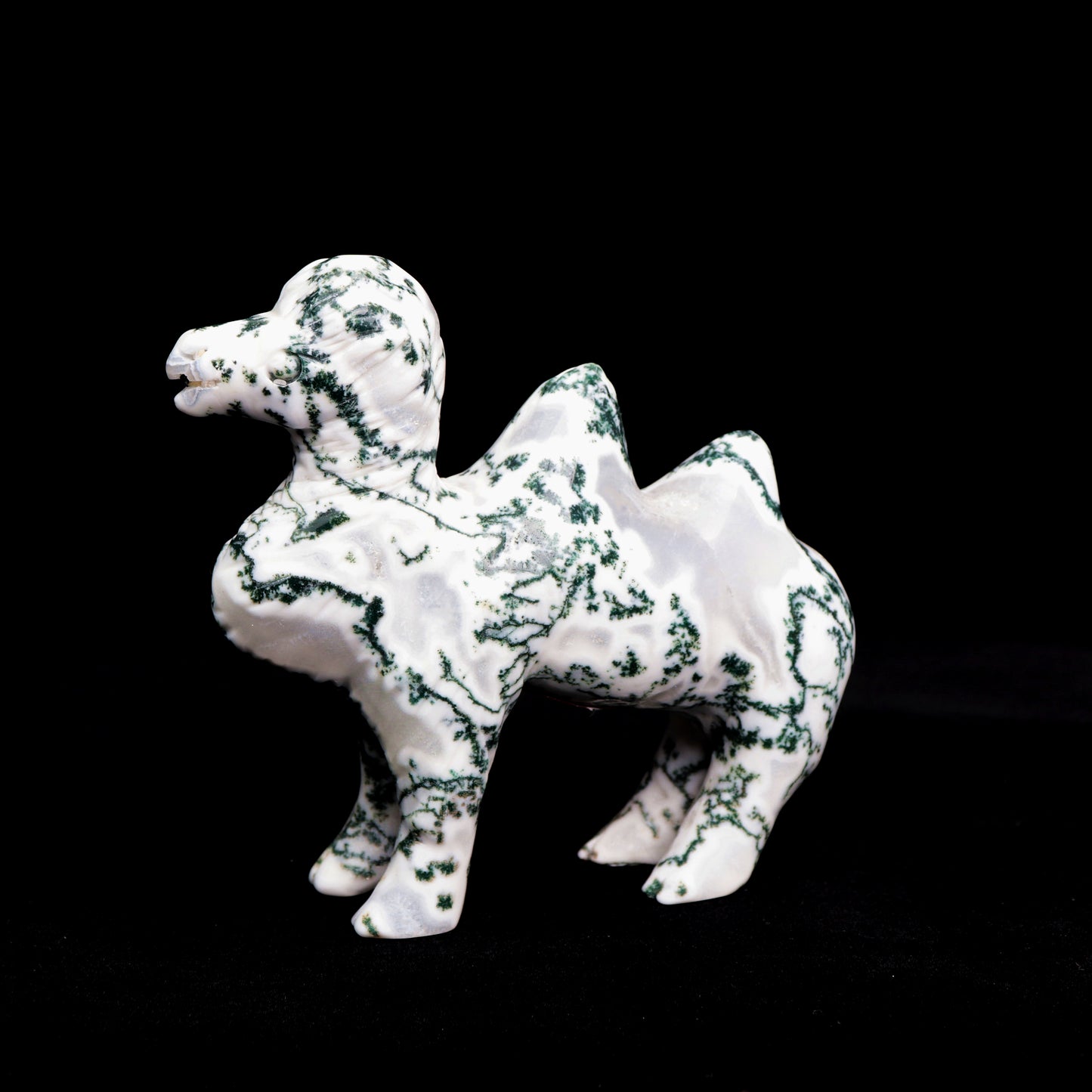 5.5" Moss Agate Carved camel Figurine Realistic Crystal Healing Quartz Decor