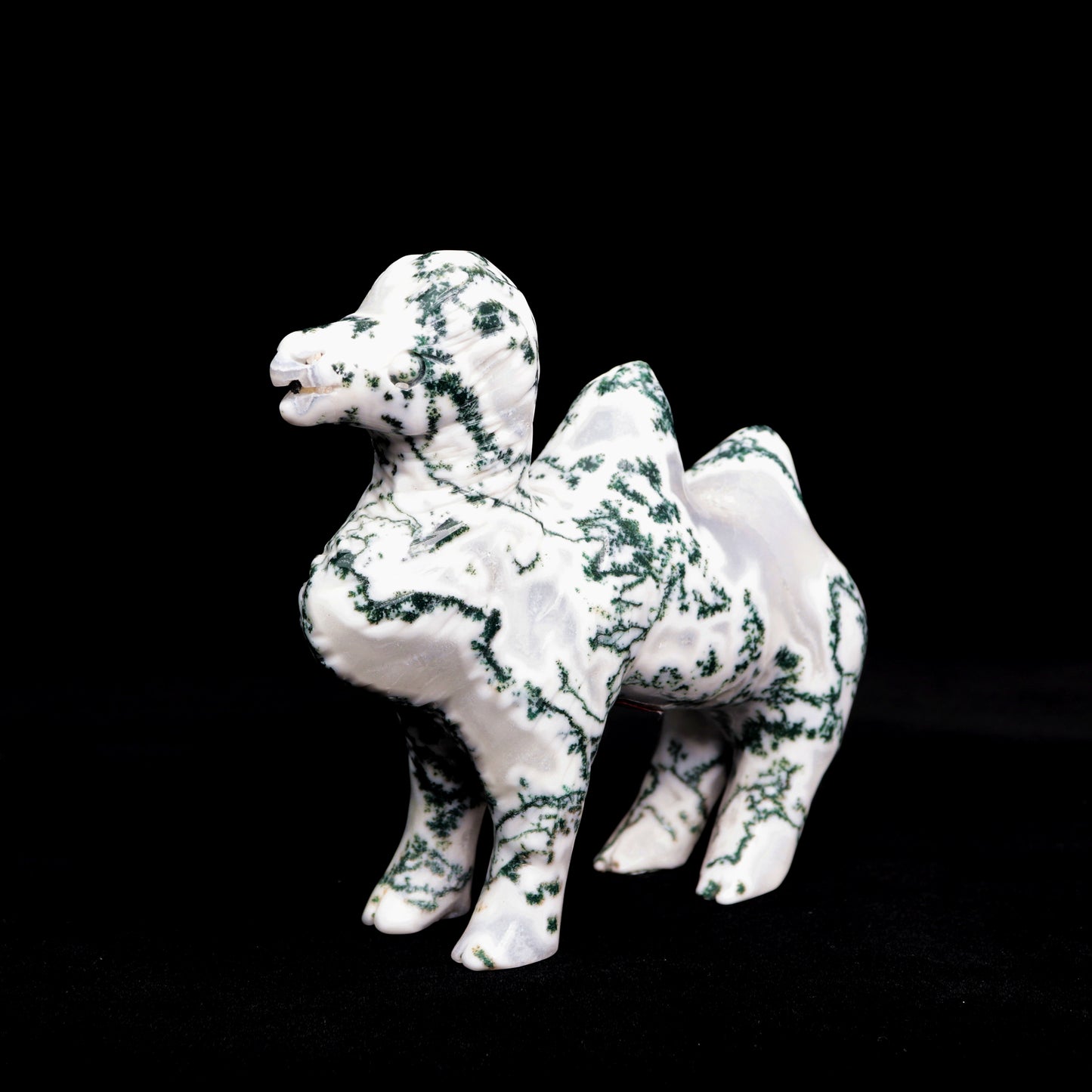 5.5" Moss Agate Carved camel Figurine Realistic Crystal Healing Quartz Decor