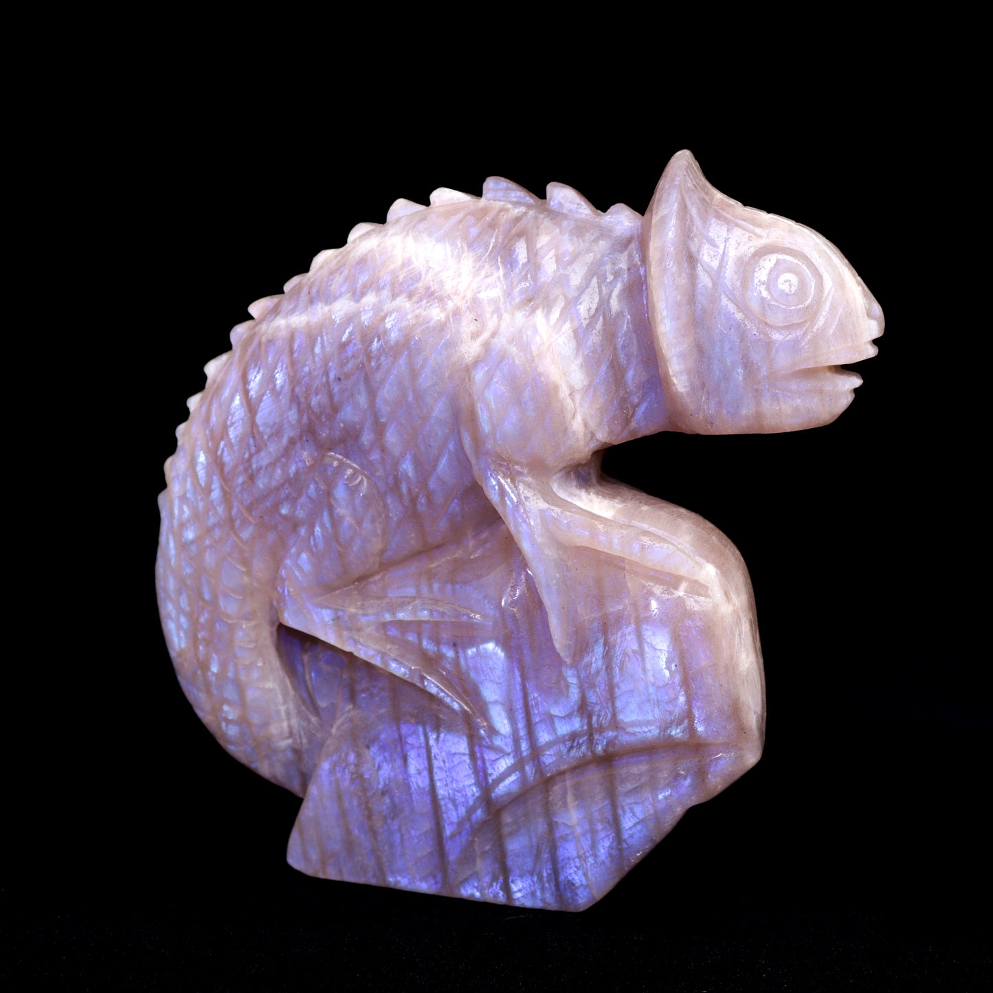 moonstone Chameleon