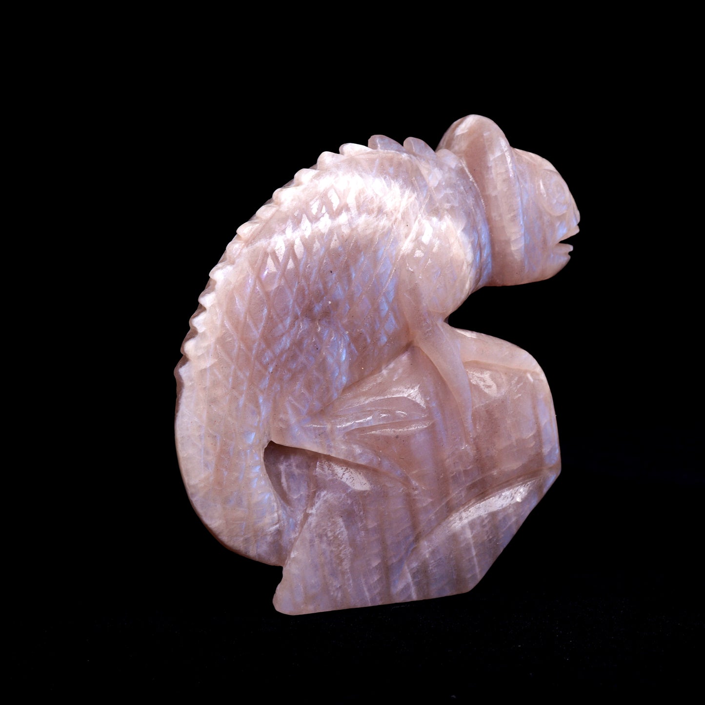 5" Moonstone Carved Chameleon lizard Figurine Realistic Crystal Healing Quartz Decor