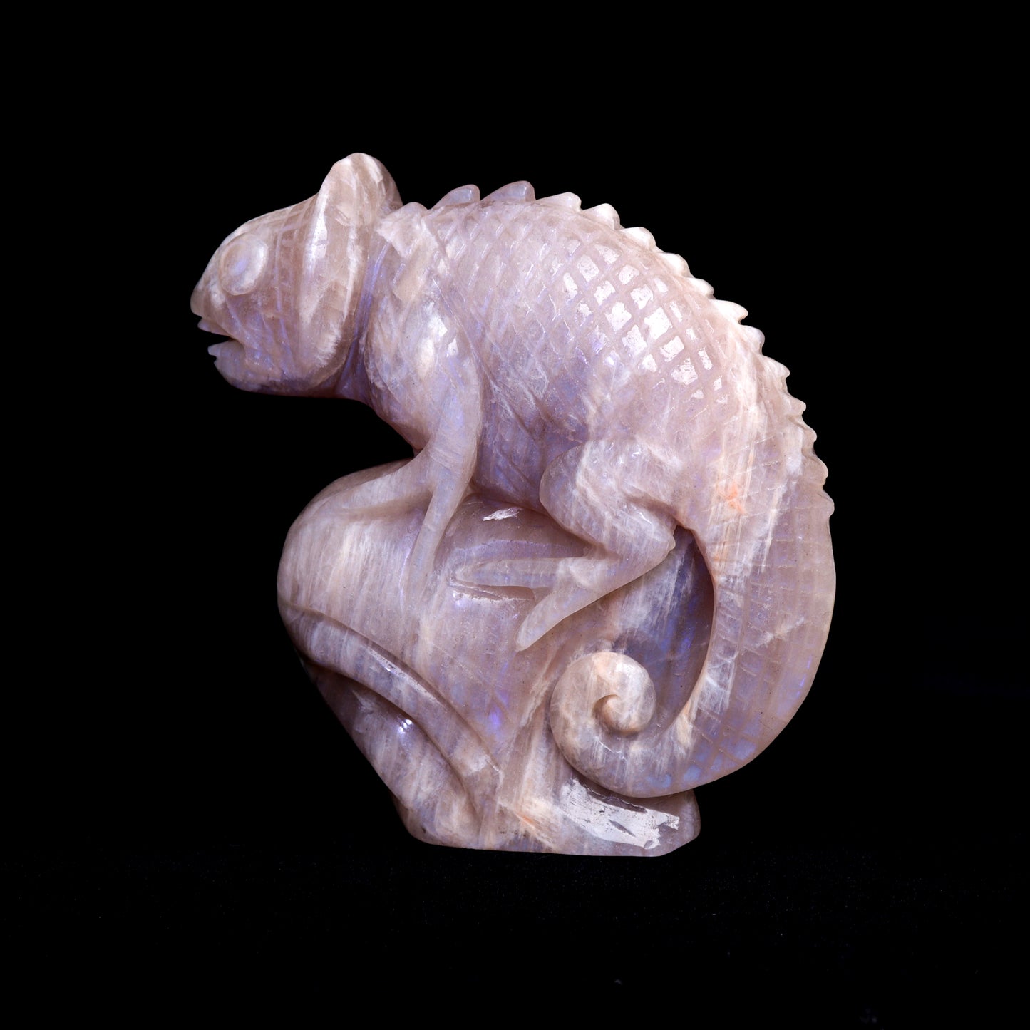 5" Moonstone Carved Chameleon lizard Figurine Realistic Crystal Healing Quartz Decor