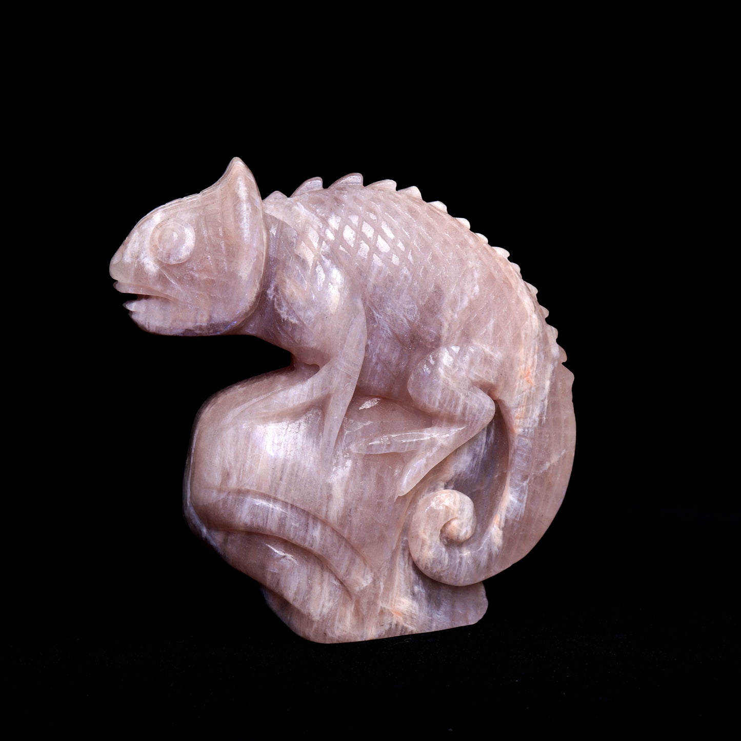 5" Moonstone Carved Chameleon lizard Figurine Realistic Crystal Healing Quartz Decor