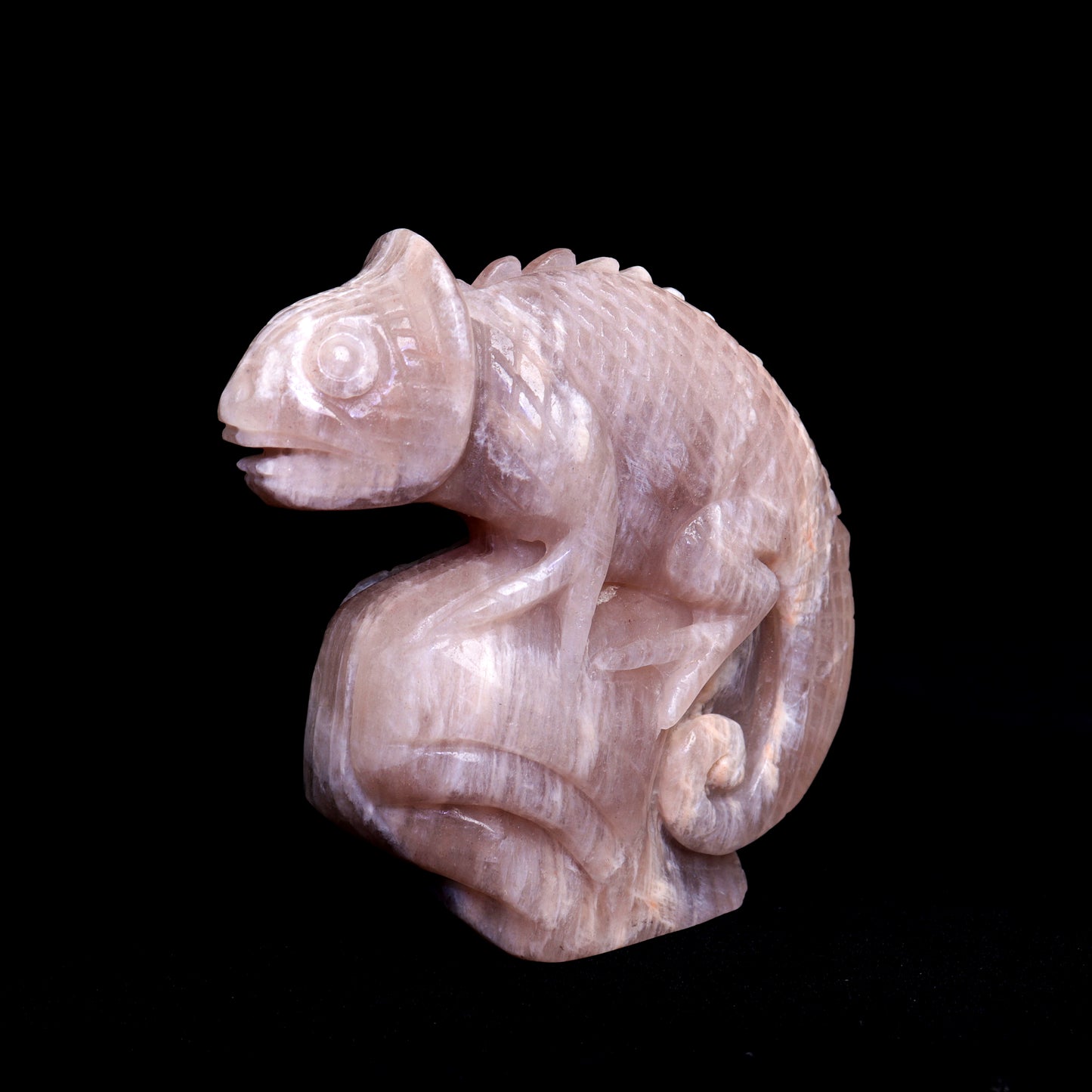 5" Moonstone Carved Chameleon lizard Figurine Realistic Crystal Healing Quartz Decor