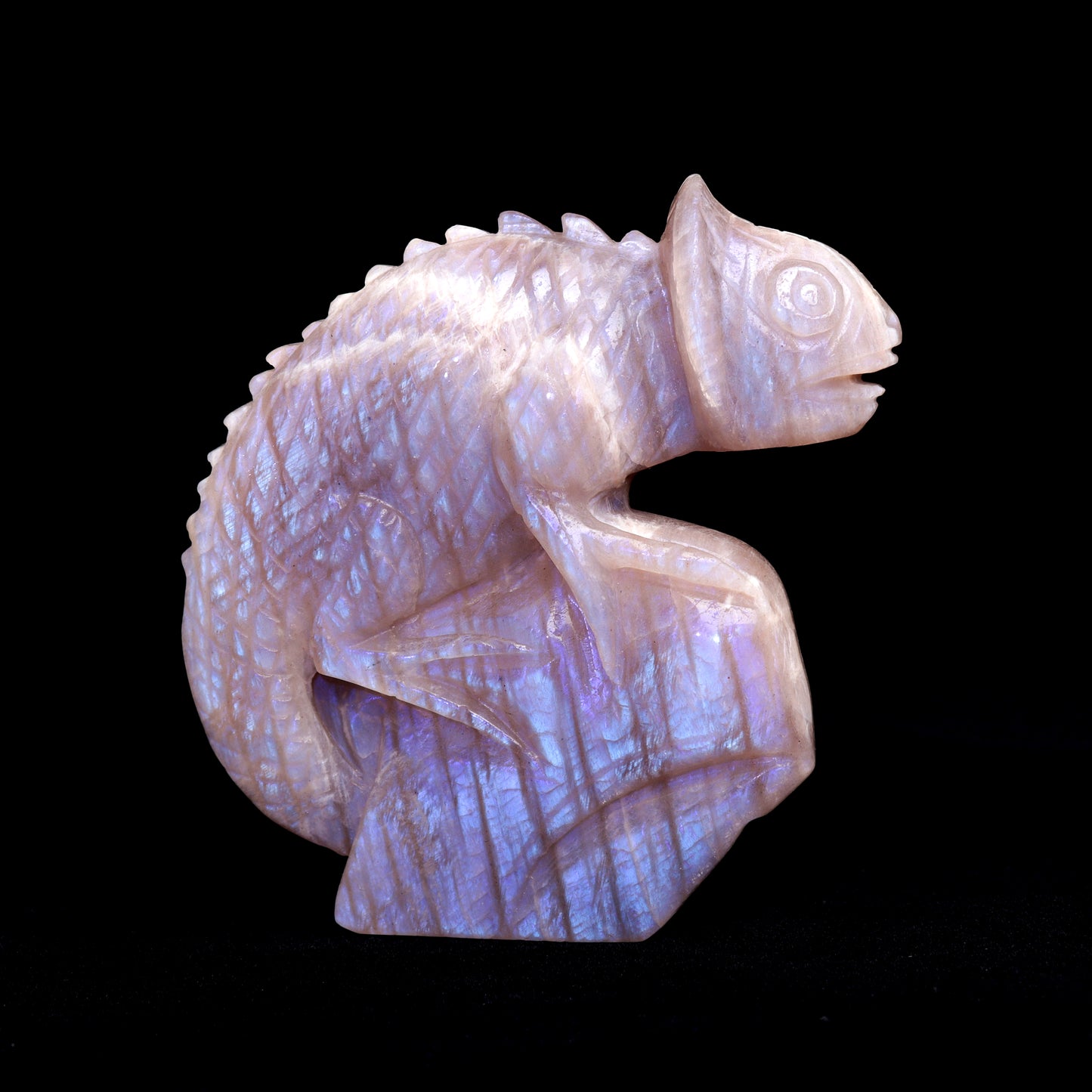 5" Moonstone Carved Chameleon lizard Figurine Realistic Crystal Healing Quartz Decor