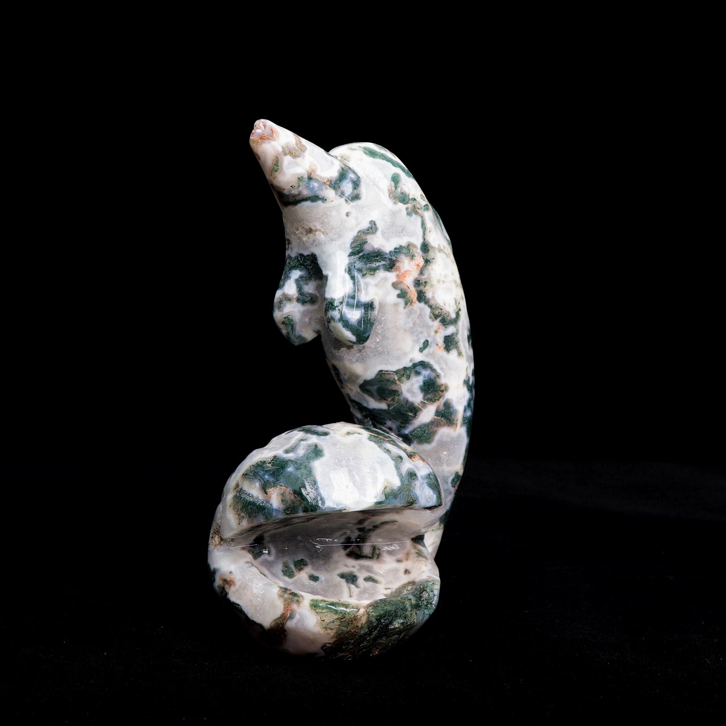 6.5" Moss Agate Carved Dolphin Shell Sculpture Realistic Crystal Healing Quartz Decor