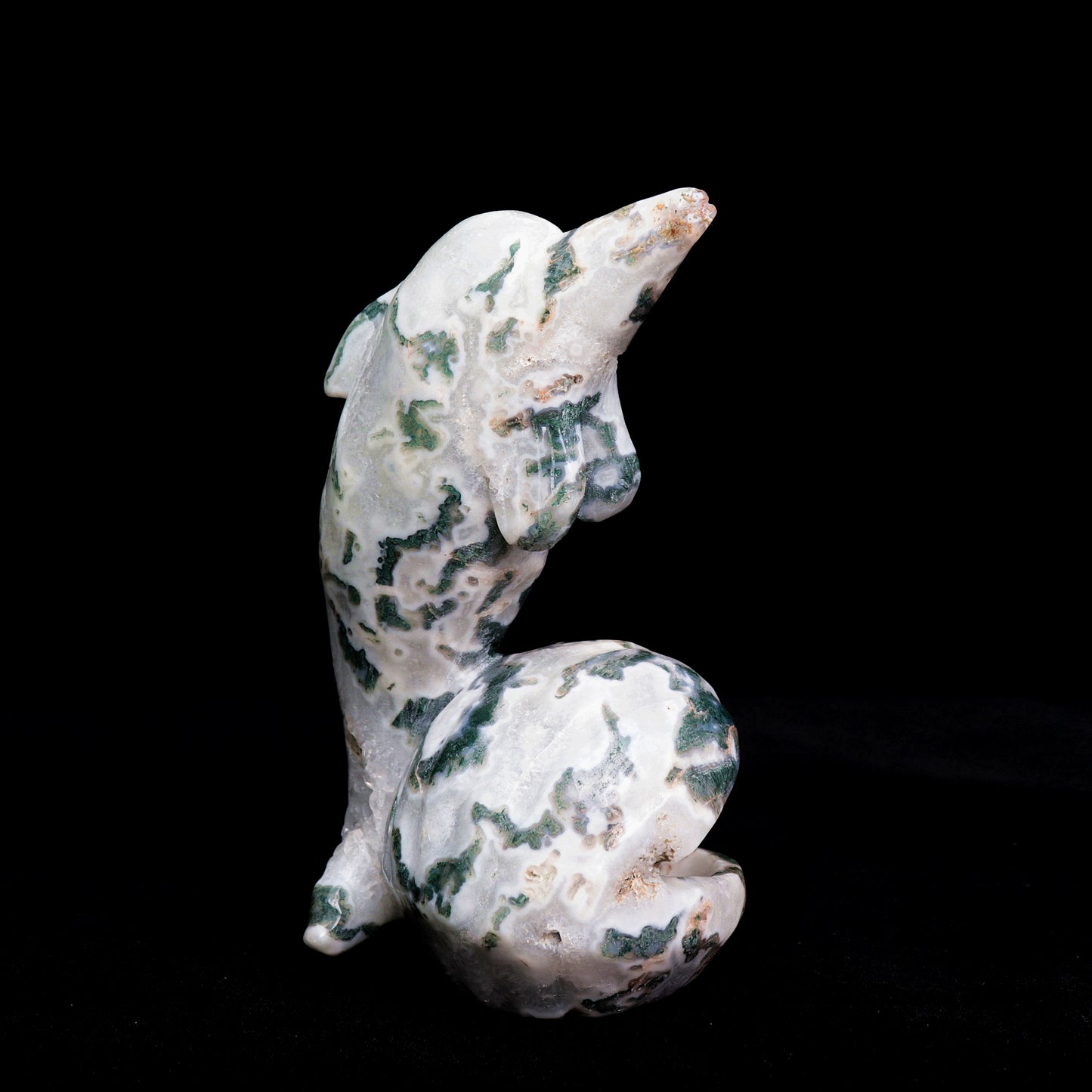 6.5" Moss Agate Carved Dolphin Shell Sculpture Realistic Crystal Healing Quartz Decor