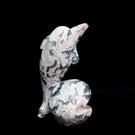 crystal dolphin