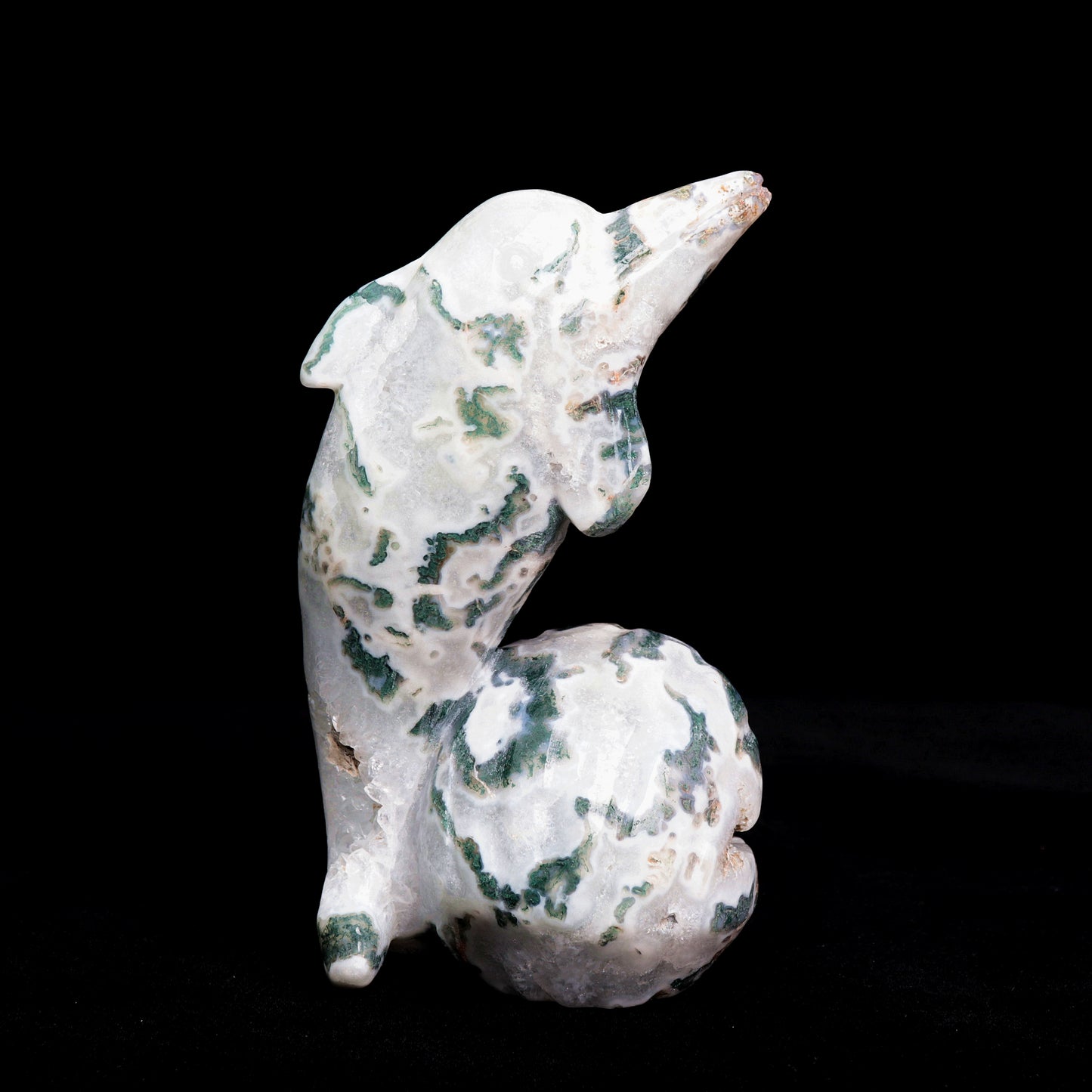 6.5" Moss Agate Carved Dolphin Shell Sculpture Realistic Crystal Healing Quartz Decor