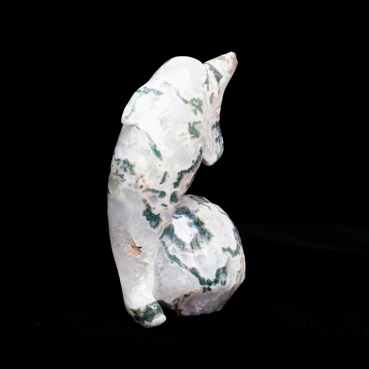 6.5" Moss Agate Carved Dolphin Shell Sculpture Realistic Crystal Healing Quartz Decor