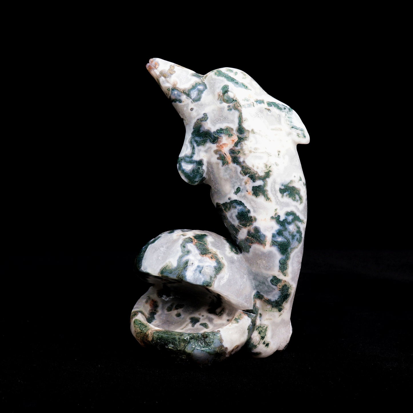 6.5" Moss Agate Carved Dolphin Shell Sculpture Realistic Crystal Healing Quartz Decor