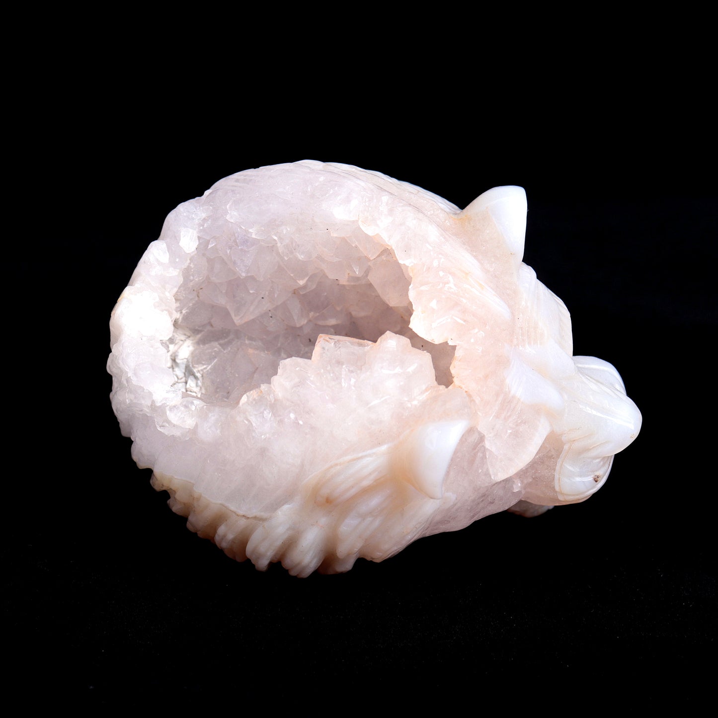 druzy agate lion