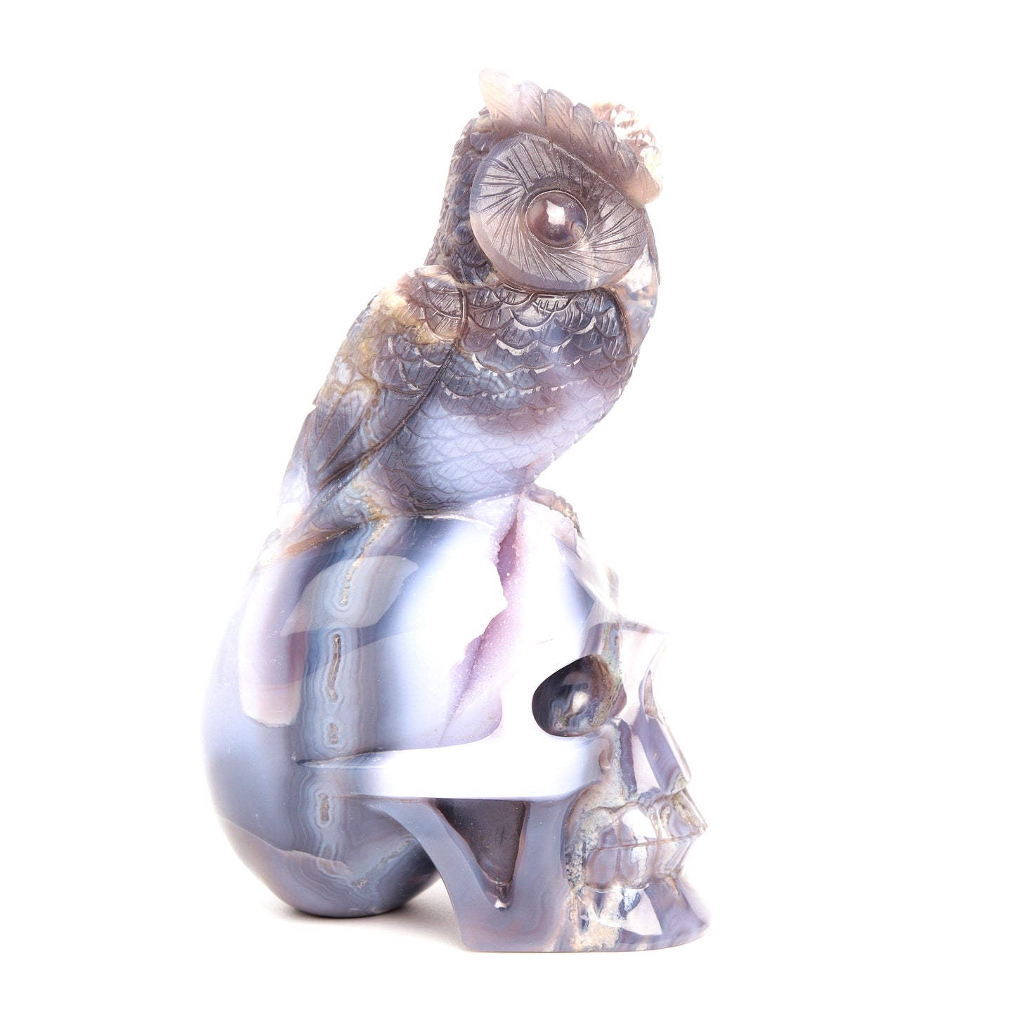 7" Druzy Agate Carved Skull with Owl Sculpture Crystal Quartz Healing