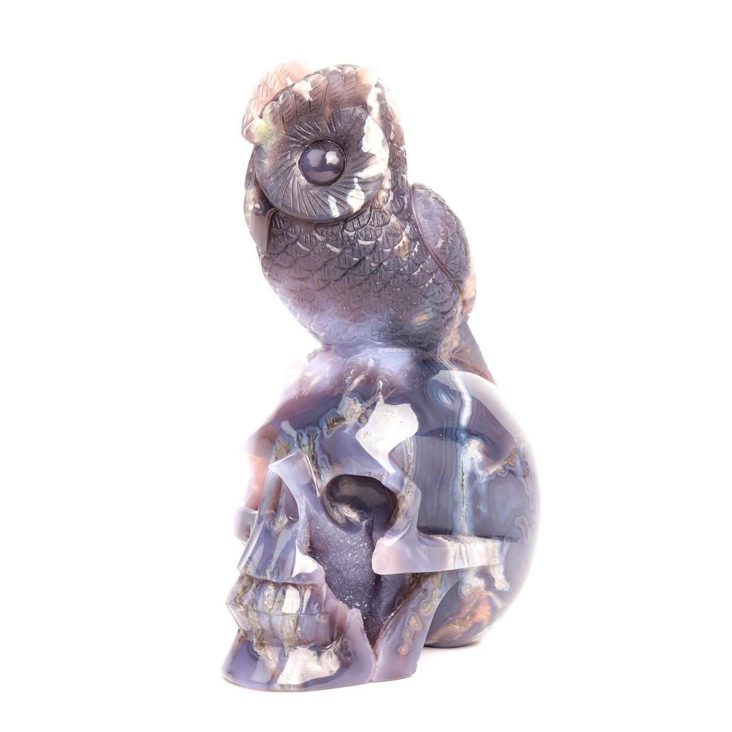 7" Druzy Agate Carved Skull with Owl Sculpture Crystal Quartz Healing