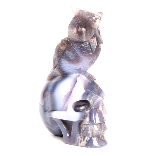 crystal skull owl