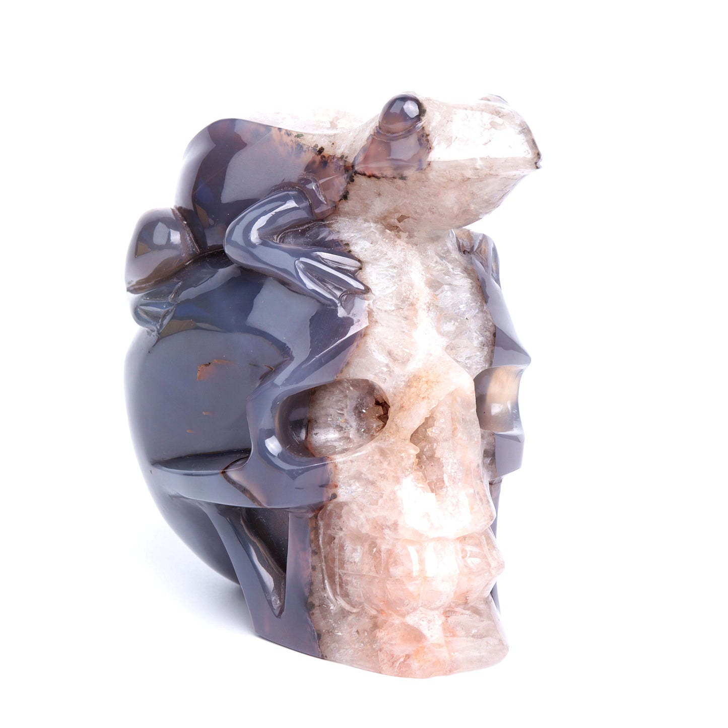 4.2Lb Druzy Agate Carved Skull With Frog Sculpture Crystal Quartz Healing