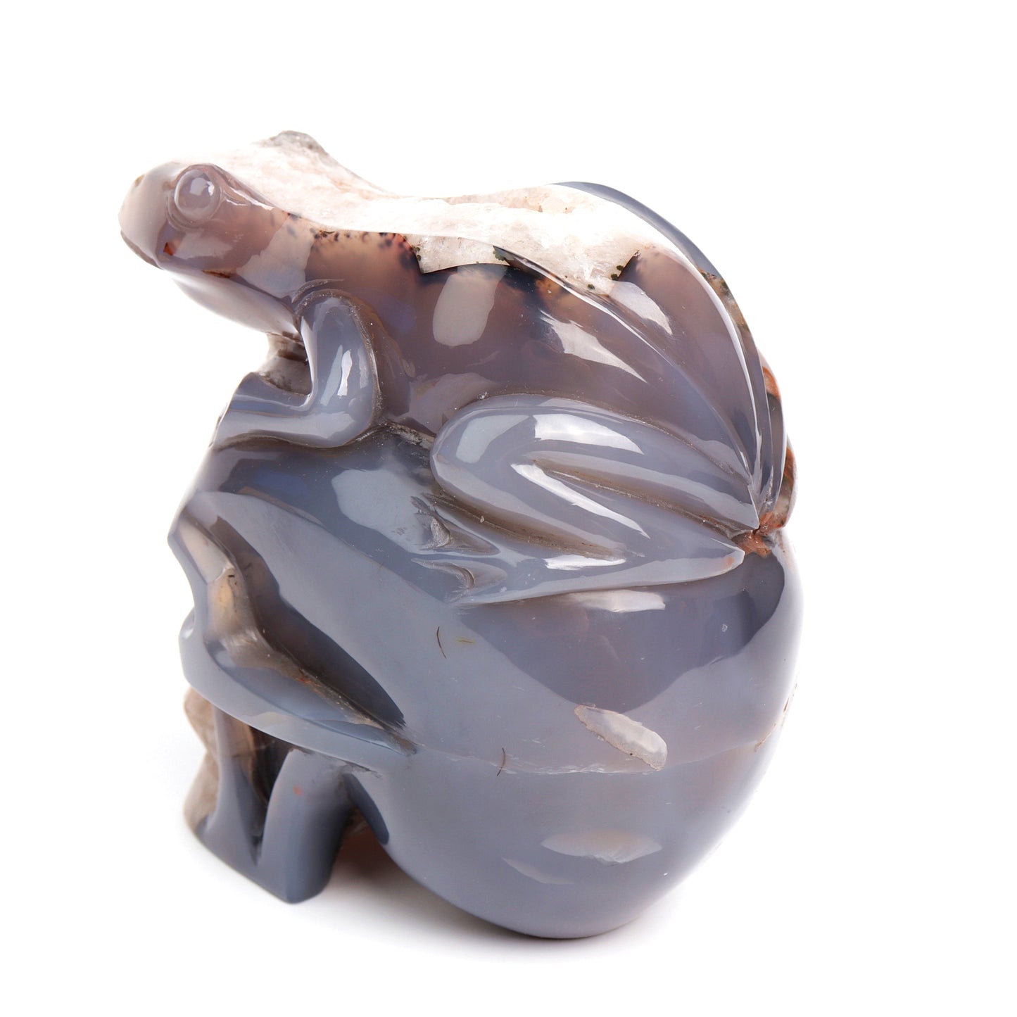 4.2Lb Druzy Agate Carved Skull With Frog Sculpture Crystal Quartz Healing