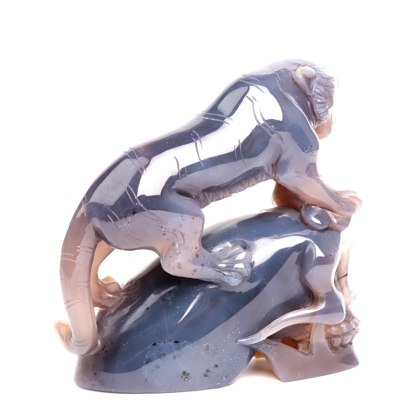Masterpiece: 5.5" Amethyst Agate Carved Crystal Skull Leopard Sculpture Quartz Healing