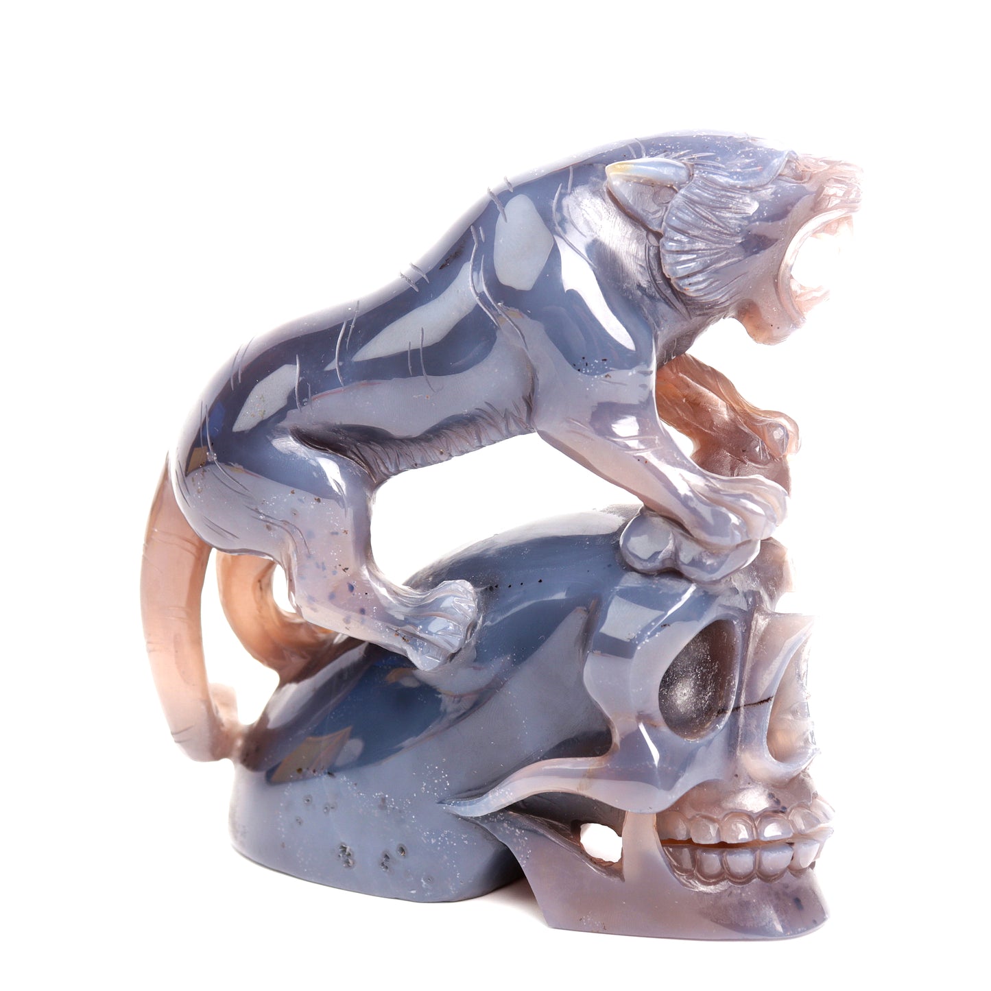 Masterpiece: 5.5" Amethyst Agate Carved Crystal Skull Leopard Sculpture Quartz Healing