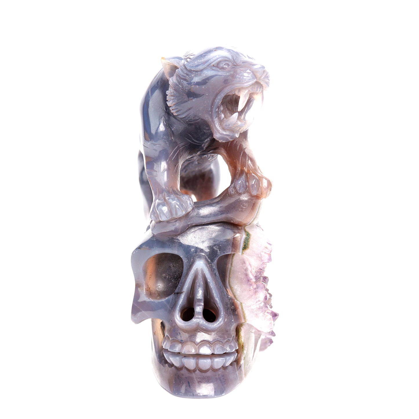 Masterpiece: 5.5" Amethyst Agate Carved Crystal Skull Leopard Sculpture Quartz Healing