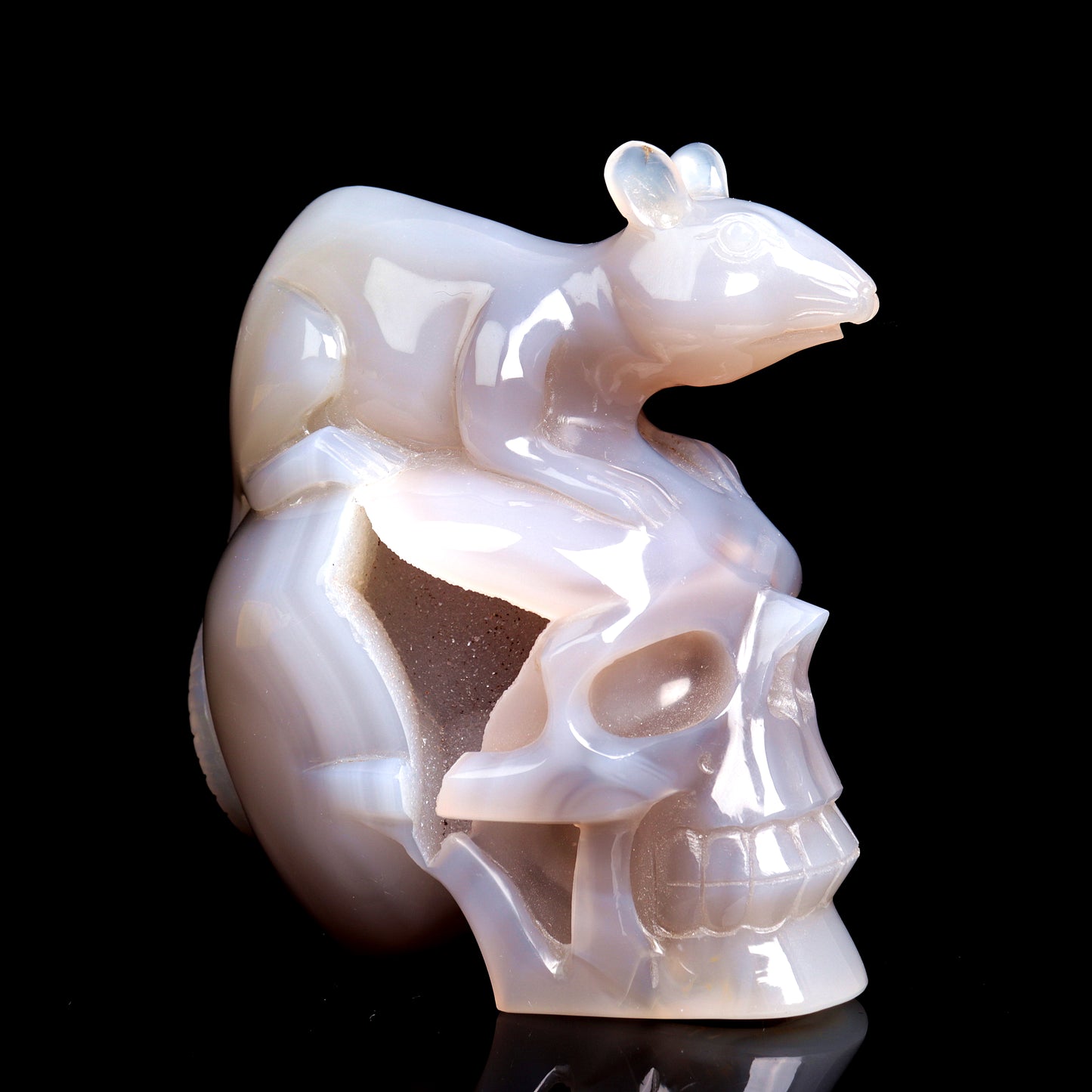 druzy agate skull