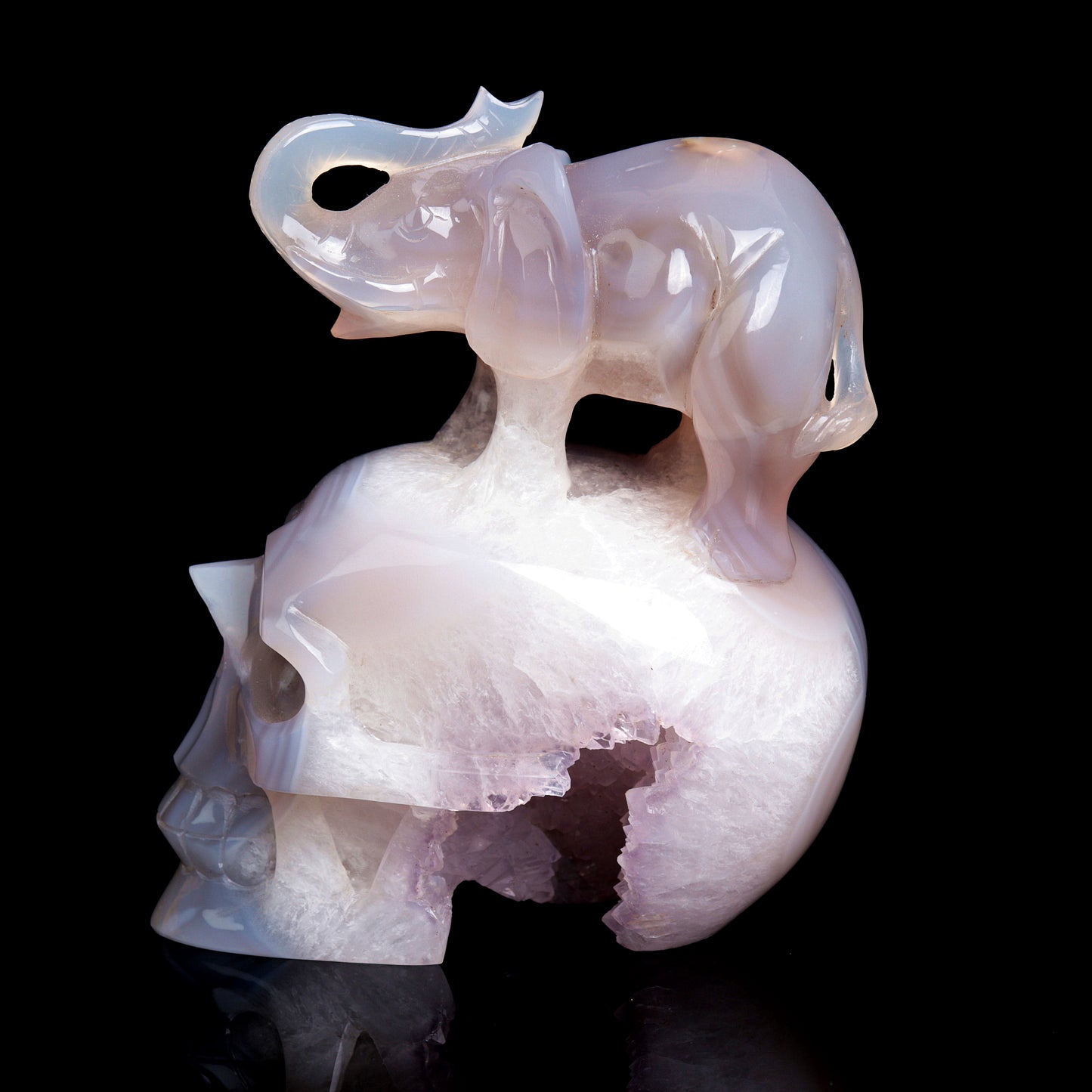 6" Druzy Agate Carved Crystal Skull Elephant Figurine Quartz Arts